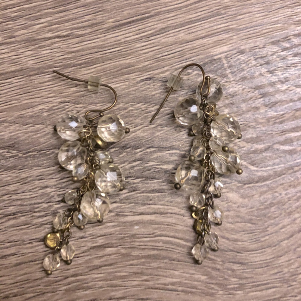 Anthropologie beaded grape vine dangling earring.